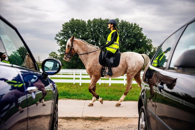 Sicher unterwegs im Sattel auf vier Hufen / ADAC gibt Tipps zur Sicherheit von Pferd und Reiter