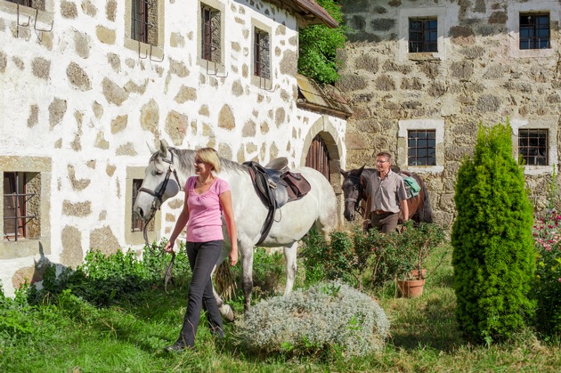 Auf vier Hufen in den Urlaub: Wanderreiten im Mühlviertel - BILD