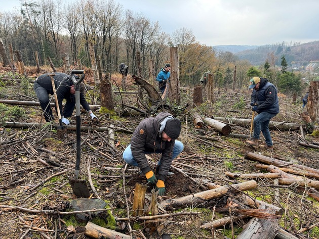 Becher pflanzt 10.000 Bäume: Aufforstungsprojekt erfolgreich abgeschlossen