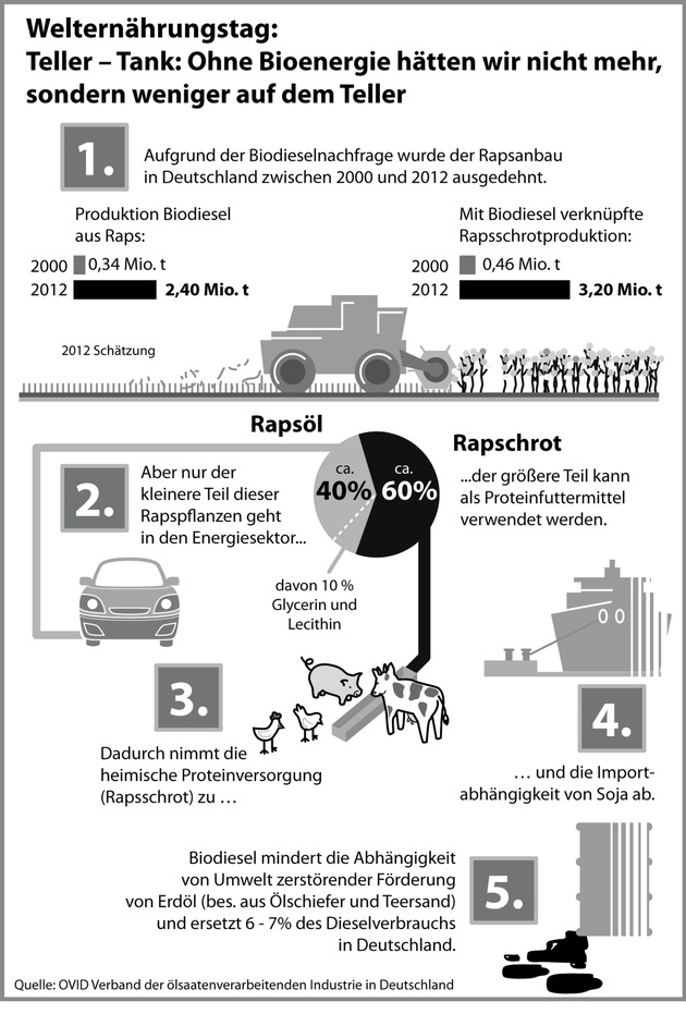 Welternährungstag: Teller - Tank: Ohne Bioenergie hätten wir nicht mehr, sondern weniger auf dem Teller (BILD)