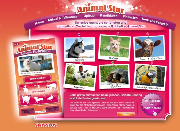 Jedes Tier hat Star Appeal!
Swisslos veranstaltet grosses Tierfoto-Casting