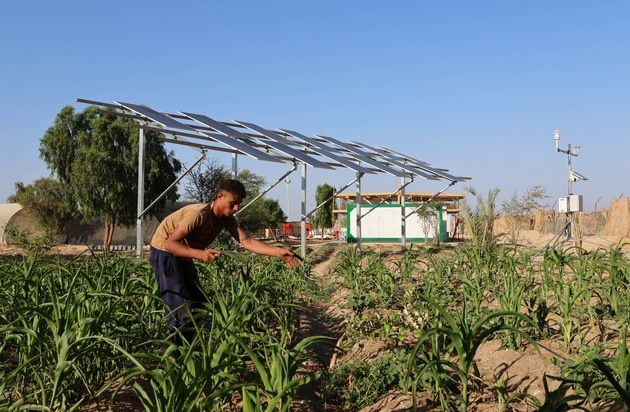 3E: How a multi-stakeholder partnership is advancing Agrivoltaics in Egypt