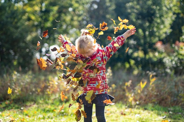 Kohlanschnitt, Teezeit und Krabbentage: SH-Ausflugstipps für Herbst- und Ferienzeit