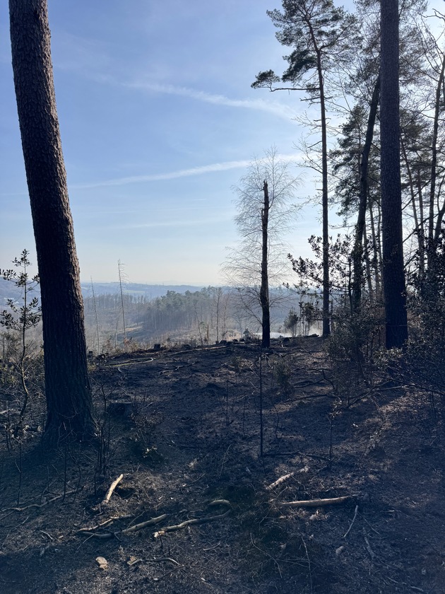 FW-GL: Waldbrand im Königsforst am Tütberg