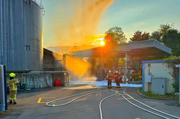 FW Konstanz: Gemeinsam Stark, Übung der Feuerwehren Kreuzlingen und Konstanz