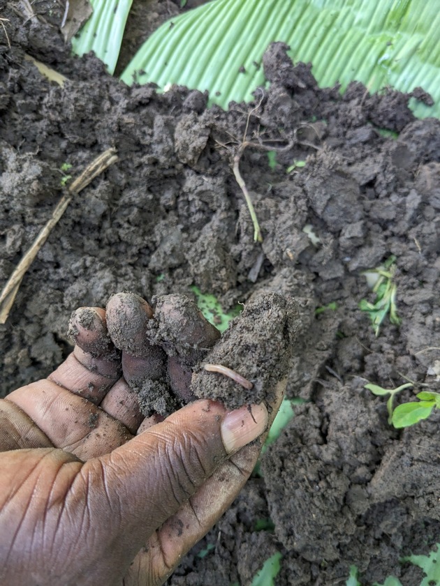 Pressemeldung: Zum Weltbodentag am 5. Dezember präsentiert Cotton made in Africa neuen Leitfaden zur Evaluierung der Bodenqualität