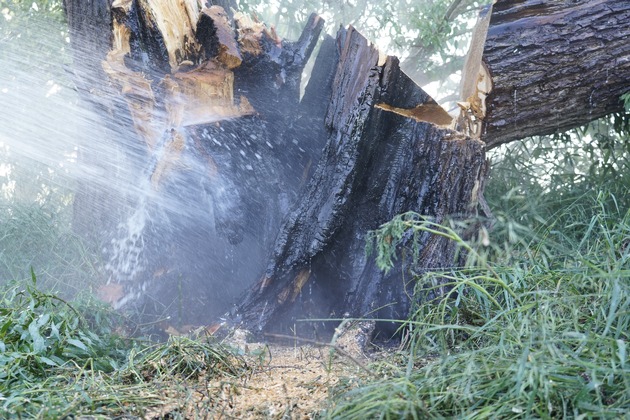 FW Flotwedel: Ortsfeuerwehr Bröckel löscht brennenden Baum