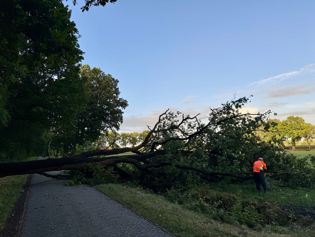 FW-AUR: Straße von umgestürzten Baum freigeräumt