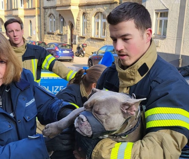 FW Stuttgart: Feuerwehr befreit zitternden Hund aus kaltem Fahrzeug