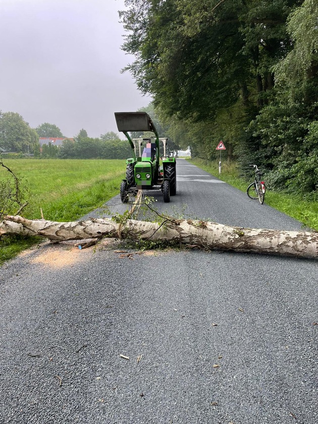 FW-Schermbeck: Baum blockierte Fahrbahn