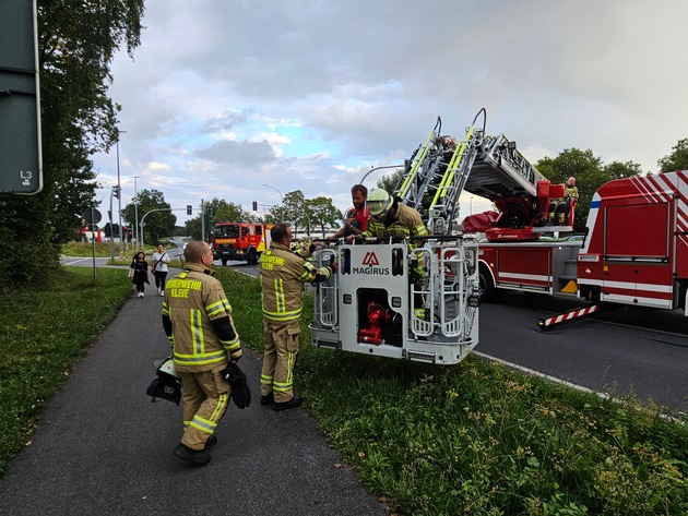 FW-KLE: Ara aus Baum gerettet