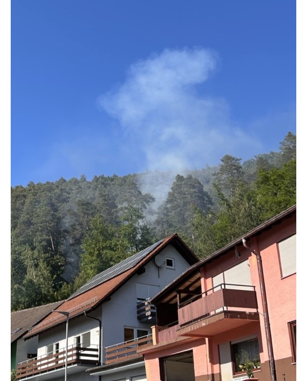 POL-PIDN: Vermutlich von Deodose verursachter Waldbrand