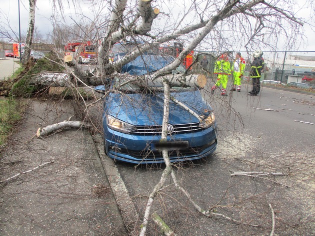 POL-REK: 200225-1: Entwurzelter Baum stürzte auf fahrendes Auto - Hürth