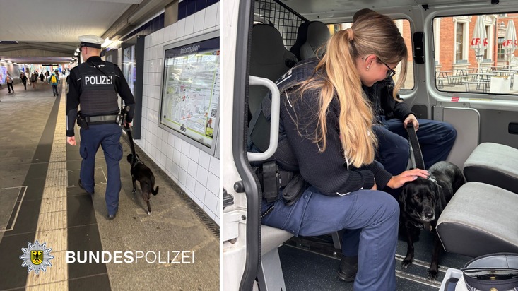 Bundespolizeidirektion München: Tierischer Einsatz für die Bundespolizei - &quot;Chicka&quot; allein in München