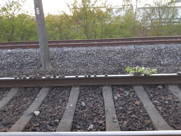 BPOL-BadBentheim: Auf die Gleise gelegte Steine behindern Bahnverkehr / Bundespolizei warnt &quot;Bahnanlagen sind keine Spielplätze&quot;
