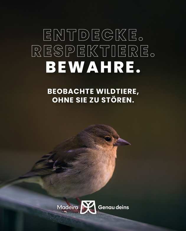 Madeira startet neue Nachhaltigkeitskampagne: „EXPLORE. RESPECT. PRESERVE.“