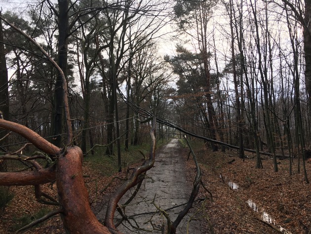 FW-BOT: Folgemeldung Unwetterlage Friederike