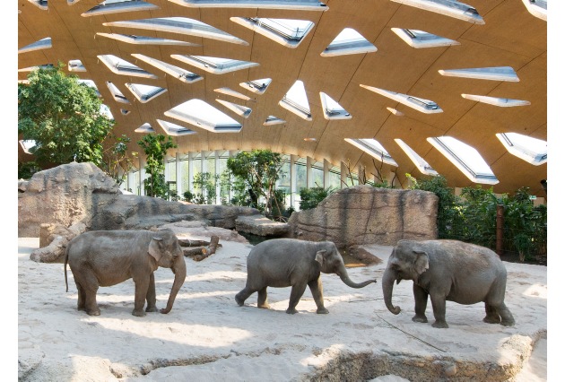 Eröffnung Elefantenpark Zoo Zürich: Sika leistet wichtigen Beitrag vom Fundament bis zum Dach
