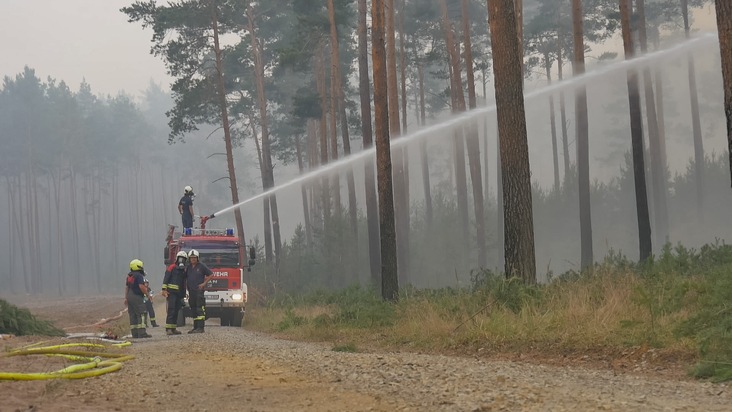 Explosionsgefahr im Wald: MDR-Webserie „exactly“ über gefährliche Feuerwehreinsätze