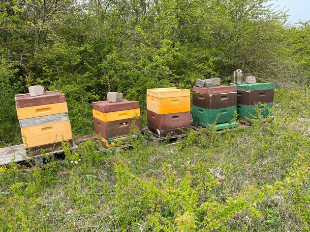 POL-PDLD: Beschädigungen an Bienenstöcken