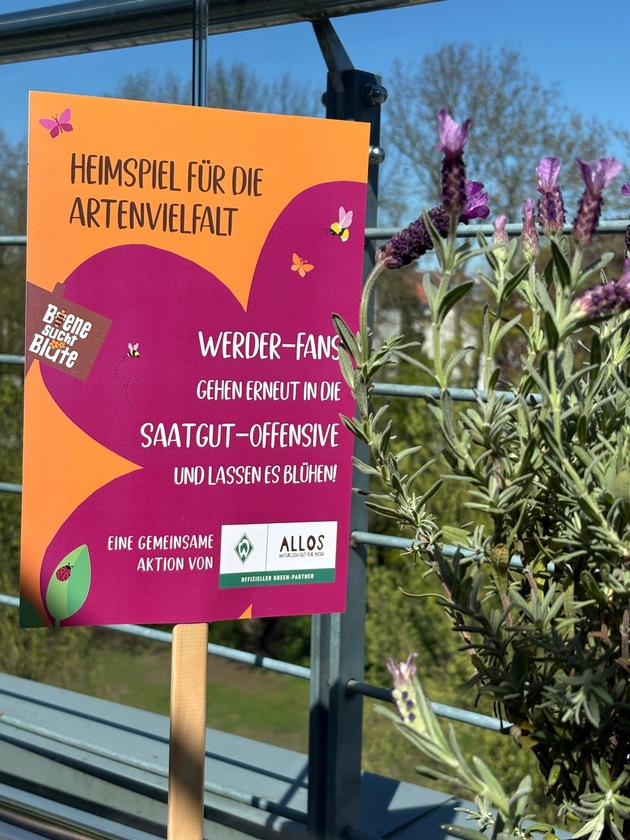 Heimspiel für die Artenvielfalt: Green Partnerschaft Allos x Werder Bremen