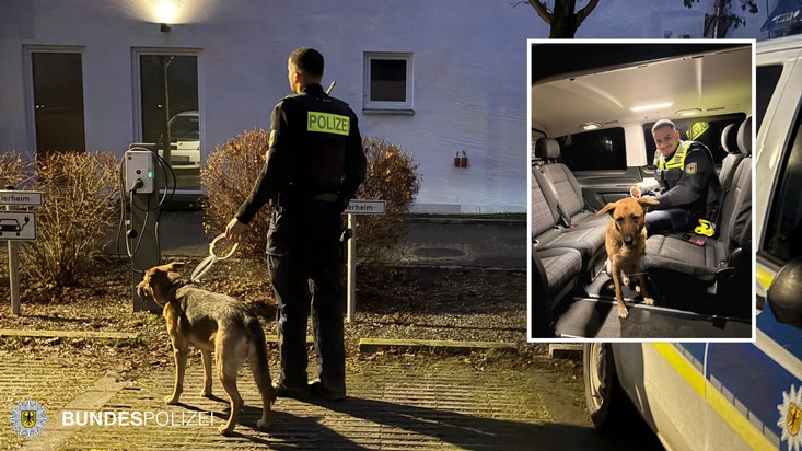 Bundespolizeidirektion München: Scheuer Vierbeiner am S-Bahnhaltepunkt gesichert