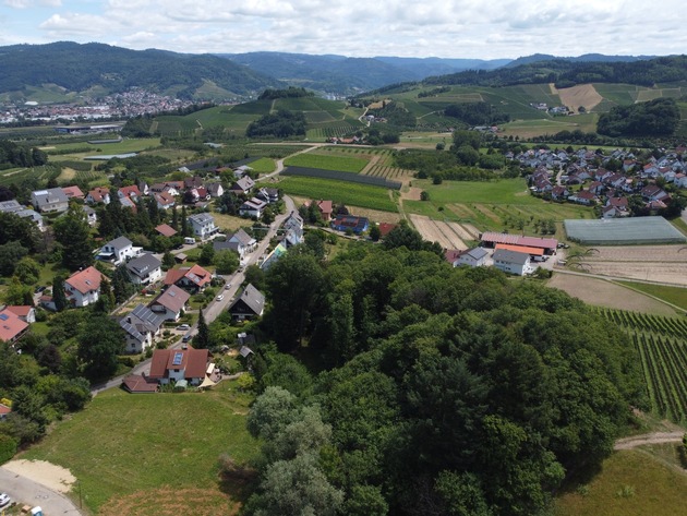 Nicht nur auf Feldern: Flächendeckende Pestizidbelastung am Oberrhein von der Ebene bis in Höhenlagen nachgewiesen