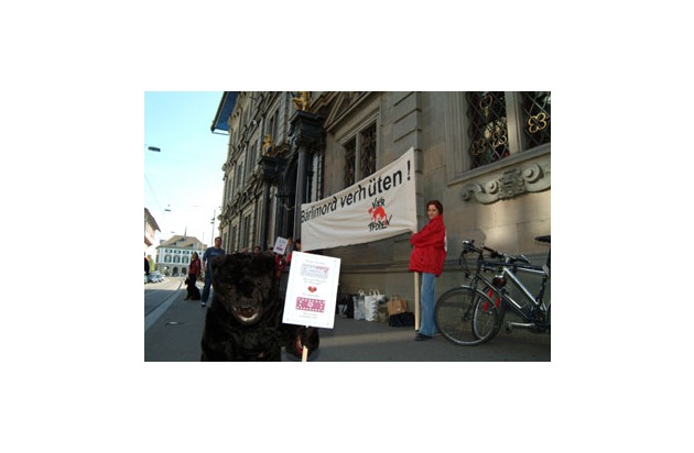 Protest gegen Entscheid des Zürcher Gemeinderates: Junge Bären sind keine Wegwerfware!