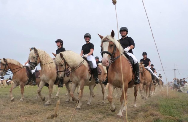 Internationale Haflinger-Gruppe formt größte Quadrille und reitet synchron zum Weltrekord