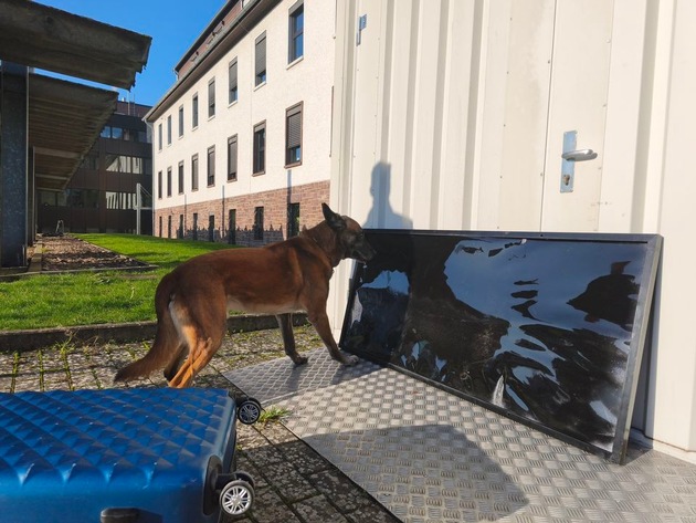 POL-HX: Polizeihund "Lemmy" erschn&uuml;ffelt 65 Kilogramm Drogen-Pillen
