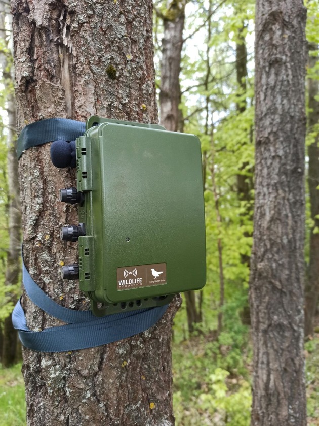 Hightech trifft Natur: K&uuml;nstliche Intelligenz h&ouml;rt Hessens V&ouml;gel