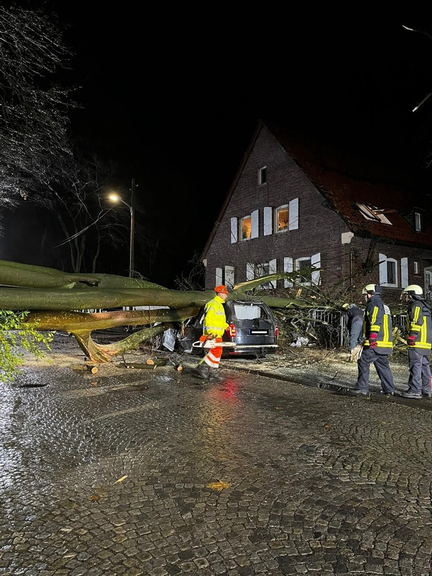 FW-BO: Baum stürzte auf Haus und Auto in Dahlhausen