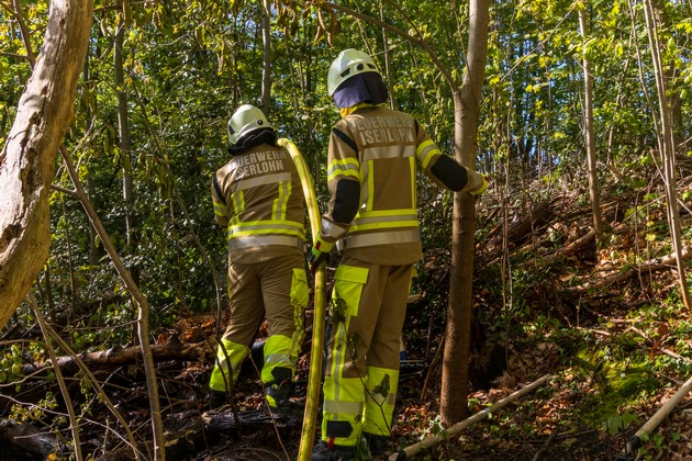 FW-MK: Fl&auml;chenbrand am "L&uuml;nkerhohl"