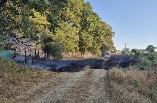 FW Sonsbeck: Waldbrand in Labbeck - Presseportal