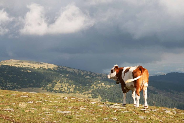 Wanderherbst auf den Best Trails of Austria - BILD