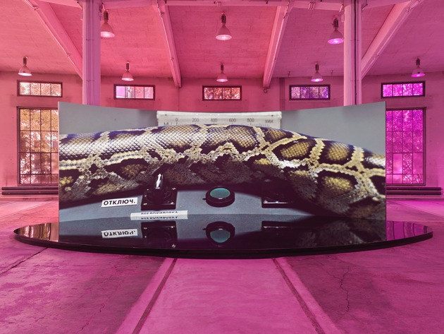 Eintauchen in die Bildwelten von Emilija Škarnulytė – neue Ausstellung im Kunstmuseum St.Gallen Lokremise