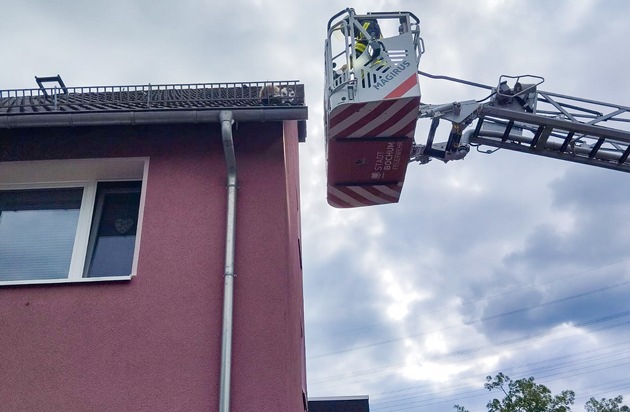 FW-BO: Feuerwehr rettet hilflosen Kater &quot;Loki&quot; vom Dach eines Mehrfamilienhauses