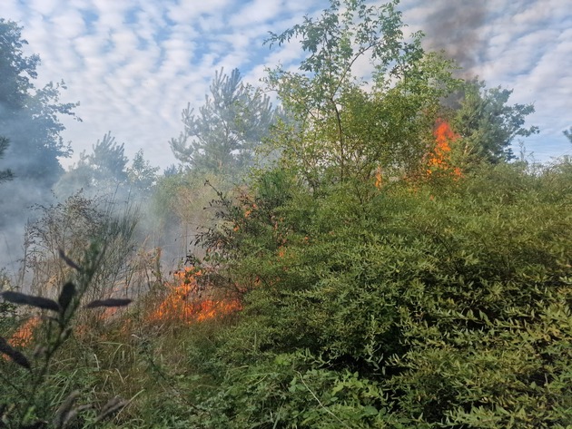 FW Celle: Zwei Vegetationsbrände in der Witzlebenstraße