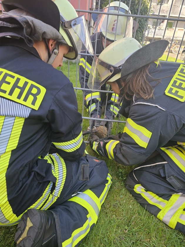 FW Celle: Igel aus misslicher Lage befreit