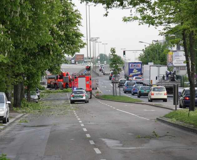 FW-E: LKW fährt eine etwa 40 Jahre alte Kastanie an