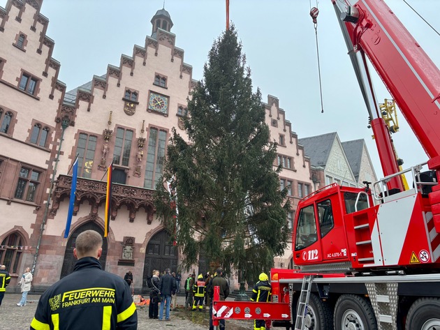 FW-F: Feuerwehr-Weihnachtsbaum &quot;Florian&quot; auf dem Römerberg