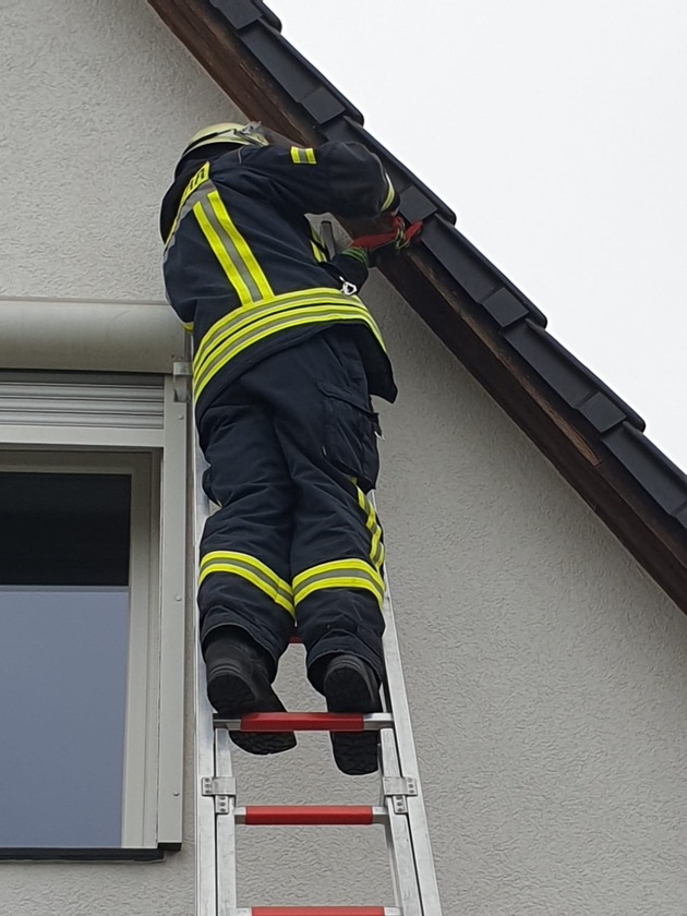 FW Celle: Haushaltsunfall in Vogelwohnung - Celler Feuerwehr rettet Spatz!
