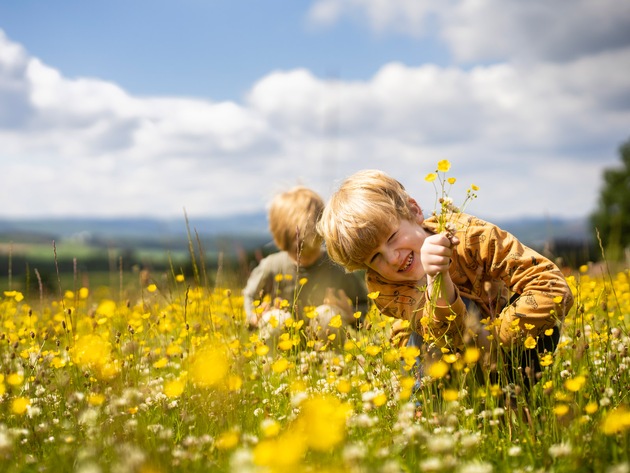 Ein Sommer voller Möglichkeiten: Das Familienferienprogramm im Schmallenberger Sauerland lädt zum Entdecken, Erleben und Genießen ein