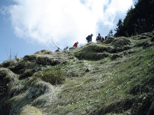 Interlaken/Wilderswil-Schynige Platte: Alpengarten öffnet seine Tore