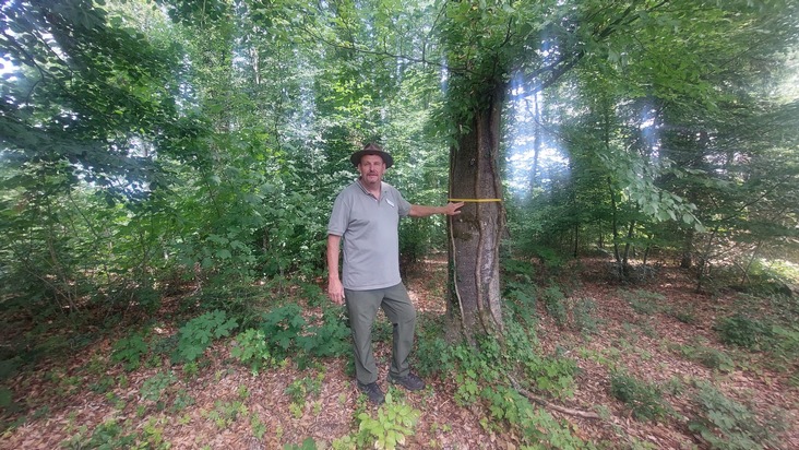„Der Wald nimmt die Trauer für einen Augenblick“ - 1 Jahr FriedWald Starzach