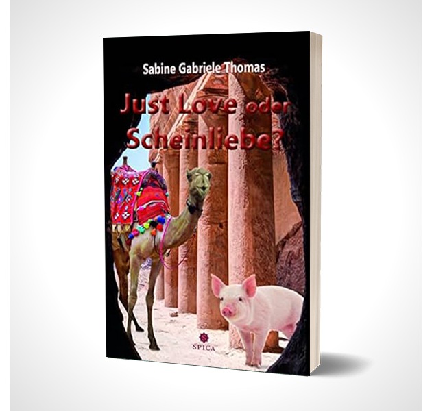 Incels, Gewalt im Internet, Deepfakes und Demokratie?