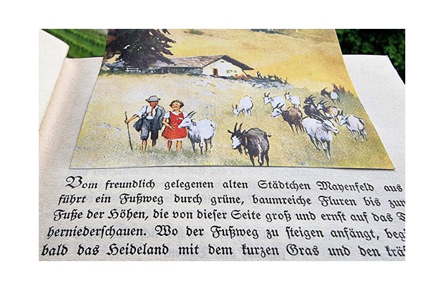 UNESCO-Auszeichnung Heidi: Die Heidi-Stiftung will das Kulturerbe von Johanna Spyri für Graubünden stärken