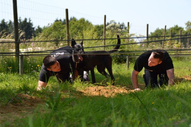 POL-NI: Nienburger Polizeidiensthundführergruppe der Polizeidirektion Göttingen folgte der Einladung nach Luxemburg