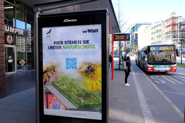 Seltene und bedrohte Wildbienenarten in der Hamburger Innenstadt nachgewiesen: Wall und Deutsche Wildtier Stiftung stellen positive Erstbilanz der ökologisch begrünten Fahrgastunterstände vor –– Ausweitung des Projekts geplant