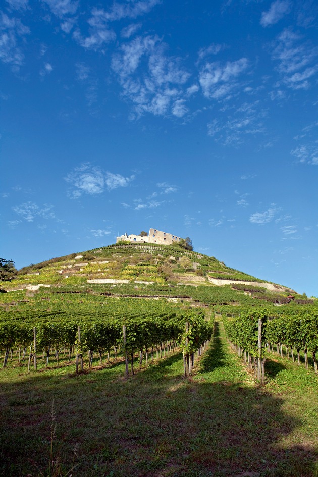 Basler Weinmesse 2012: 9 Tage Genuss in Basel (BILD)